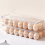 Clear Plastic Egg Holder - 14 Egg Tray Holder - Free Fridge Organizer with Lid, Refrigerator Storage Container 6