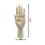 Maniquim de Desenho Articulado em Madeira para Artistas, com Dedos de Madeira Flexíveis, 2 Peças (10 Polegadas, Mão Esquerda) 2