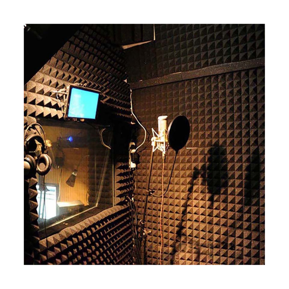 Akustikschaumplatten 12 StüCk, Schalldichte Wandplatten 30X30X5Cm, Hochdichte Schallabsorbierende Platte FüR WäNde Schwarz-image