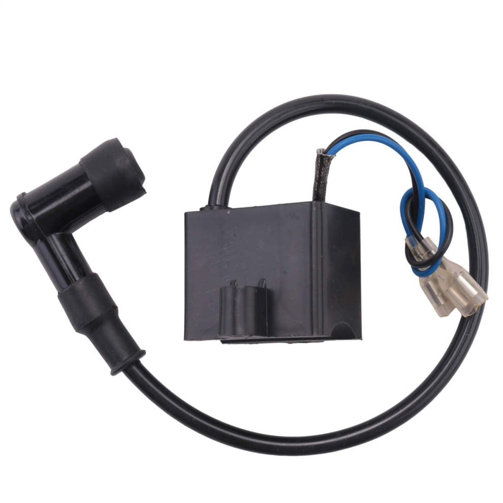 Kit Accensione CDI Per Motori 49-125 Cc – Compatibile Con ATV, Quad, Dirt Bike, Go-kart, Kawasaki KLX, Coolster