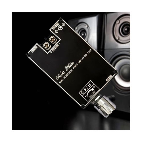 Mono 100W Bluetooth Audio Amplifier Board with TWS Box Function TPA3116D2 BT5.1 Stereo Audio Module DC7-24V -1001B 2