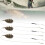 Efficient Fishing with 3Pcs European Inline Feeder Set: Portable & Durable 5