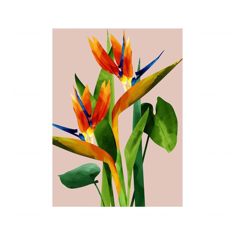(as the picture, 70x100cm No Framed) Birds Of Paradise Flower Canvas Painting Pink Botanical Plant Poster And Print Tropical Leaf Wall Art Pictures For Living Room