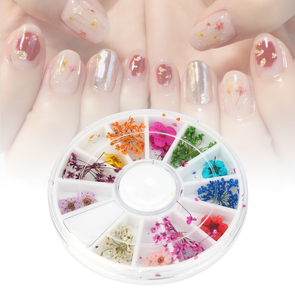 12 Colors Natural Dried Flowers Set for Nails and Decor, 6x6x1cm