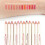12 Colors Waterproof Matte Lip Liner Set, Long Lasting & Multi-Purpose 8