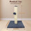 Kitten Small Scratcher Post, 40cm Cat Scratch Pole with Ball for Indoor Cats, Fun Interactive Toy with Stable Base 3