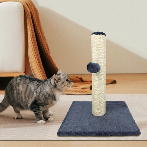 Kitten Small Scratcher Post, 40cm Cat Scratch Pole with Ball for Indoor Cats, Fun Interactive Toy with Stable Base