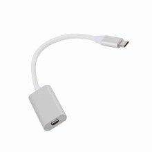 USB-C to Mini DisplayPort Adapter 4K HD, Silver for MacBook