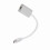 USB-C to Mini DisplayPort Adapter 4K HD, Silver for MacBook 8