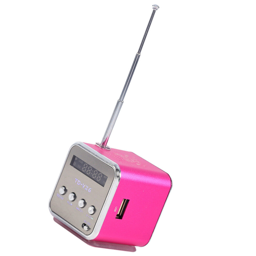 Fm Radio Portable Speaker With U Disk & Tf Card Support Rose 3411330067057