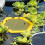 3Dprinted floating bee island, bee waterer, bee watering station, beeect drinking cup for garden bee feeder E 3
