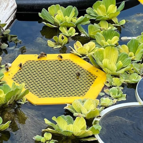 3Dprinted floating bee island, bee waterer, bee watering station, beeect drinking cup for garden bee feeder E 2