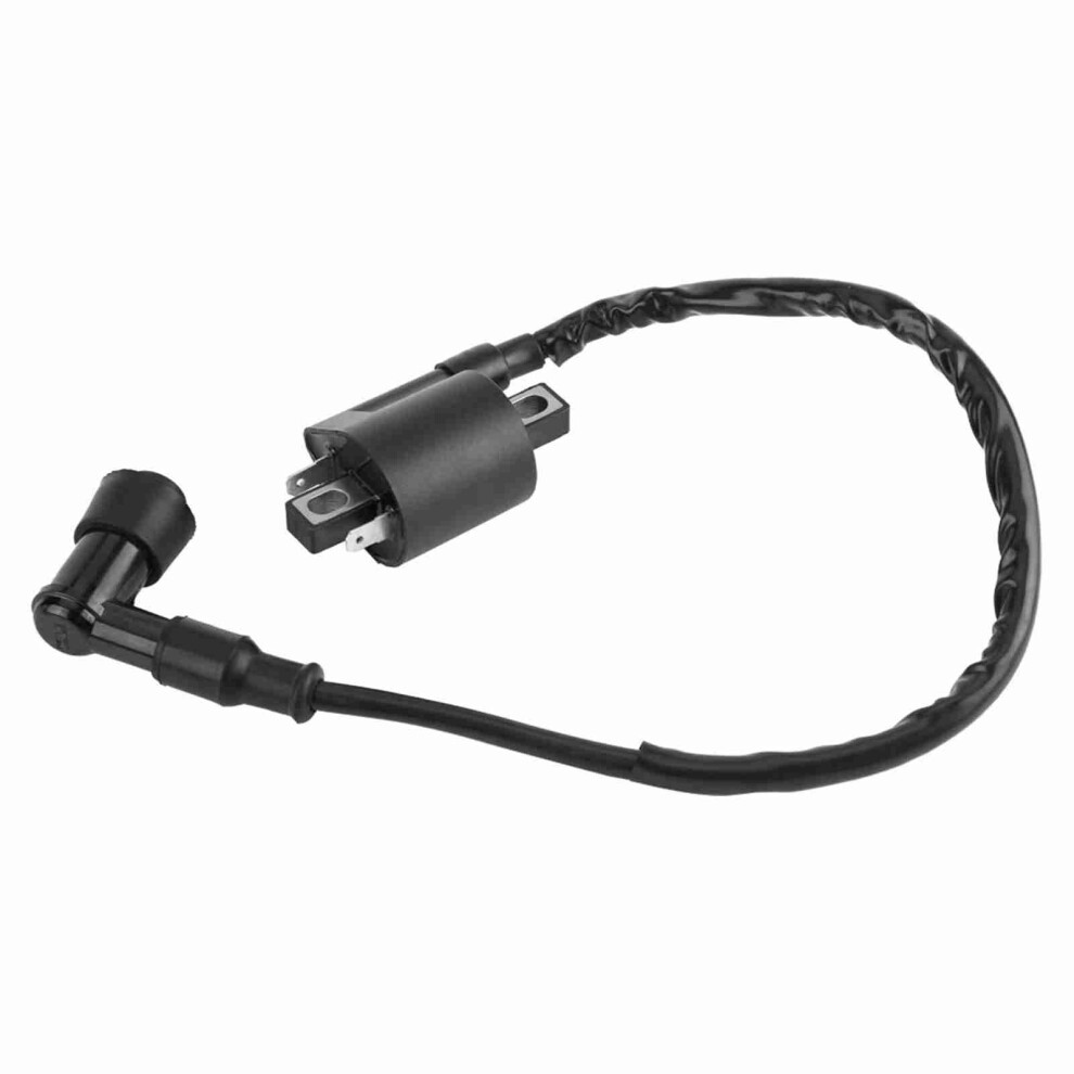 Easy Install 2 Pin Ignition Coil For Cbf125 Cbr125 Cr125 Cr250 Engines 8301330077123