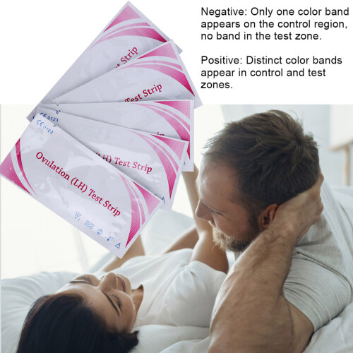 Ovulation LH Test Strips 10pcs Home Urine Pregnancy Detection Kits 2