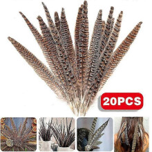 20x Natürliche Fasan Schwanz Federn Kunst Handwerk Hut Kostüm Hochzeit Fly 25-30cm