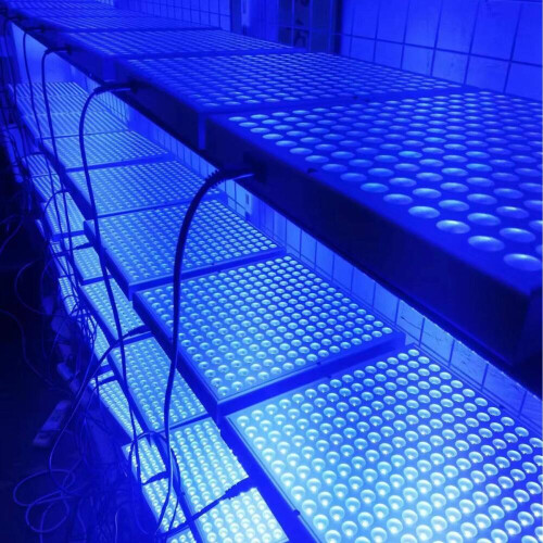 Λάμπα μαυρίσματος με μπλε φως 45W, 225 φώτα LED, μπρονζέ ηλιοθεραπεία δέρματος 1