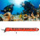 5FT High Visibility Inflatable Surface Marker Buoy for Dive Safety, Red 6