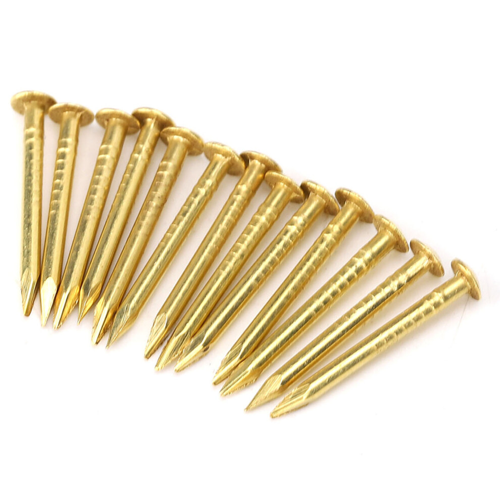 100Pcs Brass Furniture Nails With Round Head Hinges Hardware 10Mm-22Mm Length 9311330113201