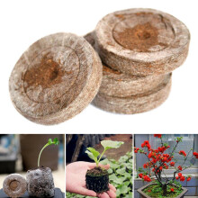 Plant Fiber Nursery Blocks with Peat Moss - Boost Transplant Success