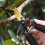 Premium Titanium Bypass Pruning Shears - Ultra-Sharp, Heavy-Duty Garden Scissors- Ergonomic Handheld Pruners 13