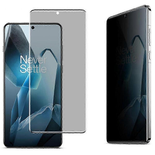 IMAK for OnePlus 13 Anti-Spy Tempered Glass Screen Protector (No Edge Version)