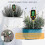 Soil Ph Meter,4 In 1 Digital Soil Ph Tester,soil Moisture-light-ph-temperature Tester 5