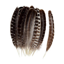 24Pcs Decorative Feathers for DIY Craft for Feather Masks Necklaces Earrings