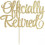 2025 Latest Model  Officially Retired Cake Topper, Happy Retirement Cake 2