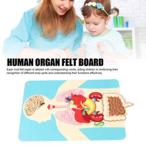 Körperteile-Lernfilz-Geschichtenbrett-Set für Kinder 2