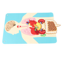 Körperteile-Lernfilz-Geschichtenbrett-Set für Kinder