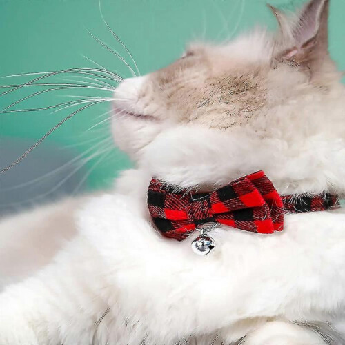 Collier De Chiot, Colliers Avec Cloche, Colliers Pour Animaux De Compagnie blue 1
