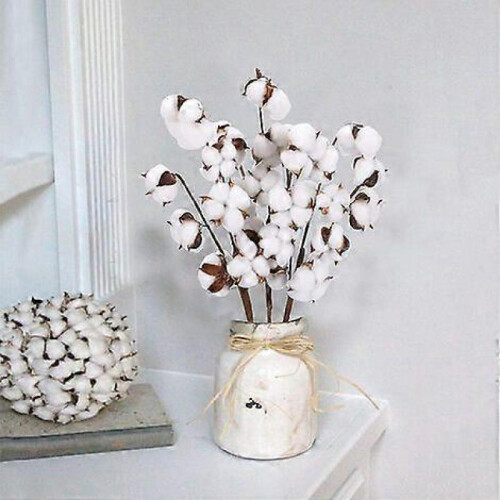 2025 Latest Model  Artificial Cotton Flower Cotton 1 Branch Decorative for Vase 1