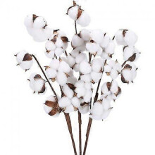 2025 Latest Model Artificial Cotton Flower Cotton 1 Branch Decorative for Vase