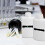 40 Pieces Temperature Strips Testing Adhesive Temperature Strips 90 to 100 Fahrenheit Degree Temper 2