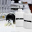 40 Pieces Temperature Strips Testing Adhesive Temperature Strips 90 To 100 Fahrenheit Degree Temper 2