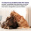 (2pcs) Hydrocortisone Spray, Itch Relief Spray Hot Spot Treatment For Dogs Cats 5