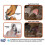 Professional Pet Clipper with LED Light - Quick Trim, Sharp & Safe for Cats/Dogs Grooming 5