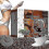 5box Nugen Bloom Collagen Coffee -pure Organic Coffee 19