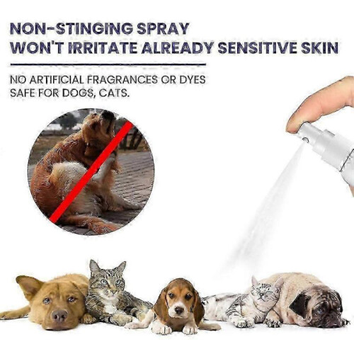 Itch relief hydrocortisone spray for dogs and cats 1