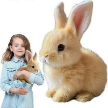 2025 Latest Model Hopping Bunny Toy,rabbit Plush Interactive Toys,electric Rabbit Toys