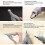 Pet Nail Clippers with Led Light for Rabbits Guinea Pigs 3