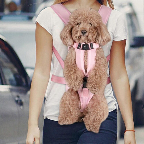 (S, Black) New Pet Carrier Convenient Adjustable Oxford Cloth Multi-purpose Water-resistant Dog Backpack For Outdoors Fast 2