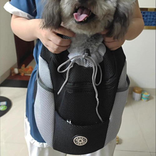 (M, Black) Summer Dog Backpack Carrier Summer Dog Backpack Front Dog Backpack Carrier For Small Medium Dogs 1