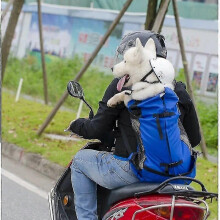 (L, Blue) Pet Dog Carrier Travel Backpack Outdoor Ventilation Breathable Bicycle Motorcycle Outdoor Hiking Spo