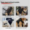 An Adjustable Hands-Free Dog Carrier Backpack, a Front-Facing Chest Bag for Pets 15-25Kg. 4