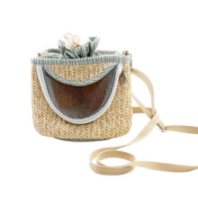 Small Pet for Carrier Breathable Travel Hedgehog Hamster Carrying Shoulder Bag P