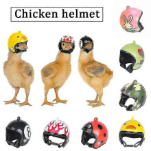 chicken bird helmet small pet headgear creative hens duck hat protect