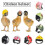 chicken bird helmet small pet headgear creative hens duck hat protect 1