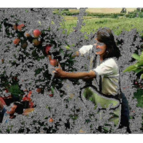 Fruit Picking Bag Orchard Picking Bag Picking Apron 2