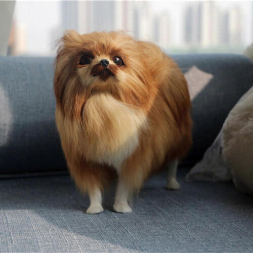 kid toy Simulation Model Simulation Pomeranian Dog Model Toys 2